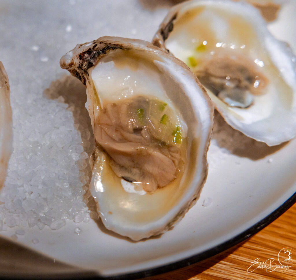 Steamboat Creek oysters with canary melon mignonette on rock salt, captured in luxury food photography Charleston SC.